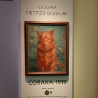 На выставке "Жизнь замечательных собак" в Санкт-Петербурге :: Ирэн 