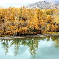 ОСЕННИЙ АЛТАЙ, КАТУНЬ :: Елена Даньшина