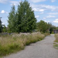 Старая Бабиновская дорога :: Gen 