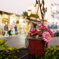 Кипр. Ларнака :: Андрей 