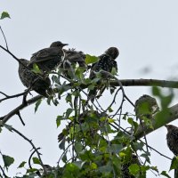 * :: Вадим * :: Вадим