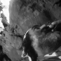 ЛЕ БО 5 (108) :: CLOSE WAYS ALL