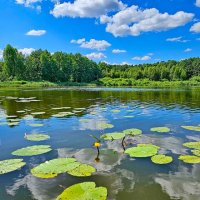 Река Солоница :: Михаил Свиденцов Река Солоница :: Михаил Свиденцов