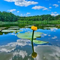 Река Солоница :: Михаил Свиденцов