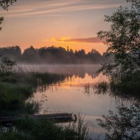 **** :: Елизавета .