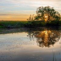 *** :: Виталий Емельянов *** :: Виталий Емельянов