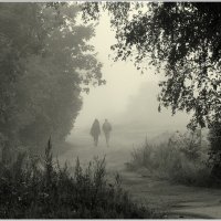 Уходящие в туман... :: Aleksandr Gal
