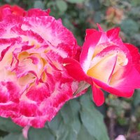 ,,, :: Сергей Тимоновский