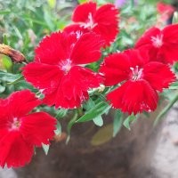 ,,,, :: Сергей Тимоновский