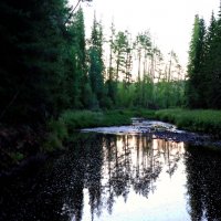 Вечер на реке :: Галина Ильясова Вечер на реке :: Галина Ильясова