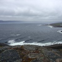 Суровы северные моря :: Ольга Чистякова