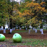 Катилось яблочко по огороду ... :: Vlad Сергиевич