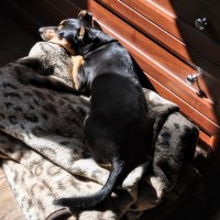 Была весна и солнце светило по-особому,,,) :: Анатолий Колосов