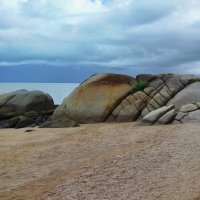 *** :: Марина Виноградова