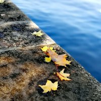 Осень. :: Любимова Ольга 