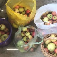 С ЯБЛОЧНЫМ СПАСОМ! МИРА, ДОБРА,ЗДОРОВЬЯ! :: Елена Семигина С ЯБЛОЧНЫМ СПАСОМ! МИРА, ДОБРА,ЗДОРОВЬЯ! :: Елена Семигина