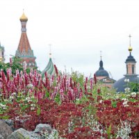 Зарядье в июле :: Михаил Бибичков