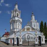 Храм Введения во храм Пресвятой Богородицы (Воронеж) :: Татьяна Машошина