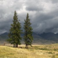 Перед дождем :: Марина Фомина.