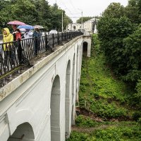 Калуга и её обитатели.. :: Юрий Яньков Калуга и её обитатели.. :: Юрий Яньков