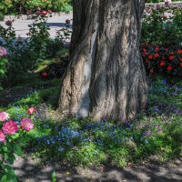 Лето в Акатовом монастыре :: Татьяна Машошина
