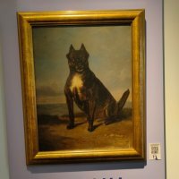 На выставке "Жизнь замечательных собак" :: Ирэн 