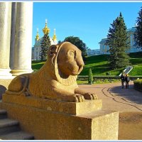 Улыбка каменного льва. :: Лия ☼