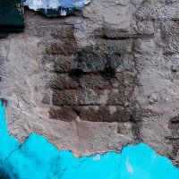 "На лицо ужасные, добрые внутри..." :: Maria Rainer