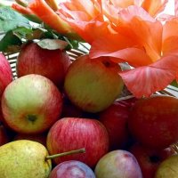 С Яблочным Спасом ! :: Galina Solovova С Яблочным Спасом ! :: Galina Solovova