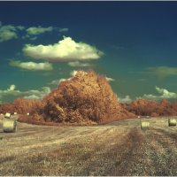 Инфракрасный июль (фильтр 630 нм ) :: Валентин Котляров Инфракрасный июль (фильтр 630 нм ) :: Валентин Котляров