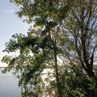 У Нарвского водохранилища :: Veera V