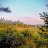 Нежность раннего утра! :: Елена Хайдукова  ( Elena Fly )