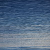 Утро на Неве :: Sergei Vikulov