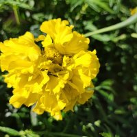 ,,, :: Сергей Тимоновский