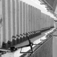 Препятствие :: Екатерина Лазуренкова