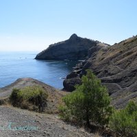 Природа Крыма :: Amazing Cosmea