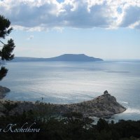 Природа Крыма :: Amazing Cosmea