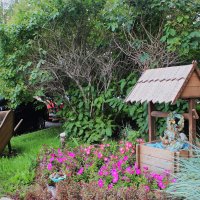 А у нас во дворе.. :: Василий 