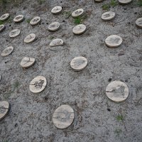 Берег :: redfox 