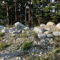 Конец июля - тоже середина лета :: Галина Минчук