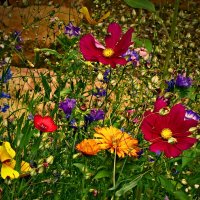 Летние этюды 82 :: Алексей Кузнецов