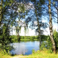 Берёзы на берегу озера :: Андрей Снегерёв