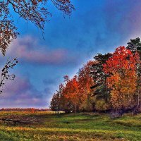 Сентябрь..Утро в пору  золотой осени! :: Владимир 