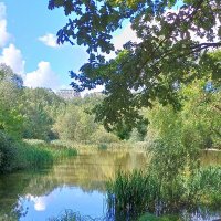 Терлецкий парк в Москве. :: Ольга Довженко