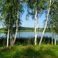 Летний пейзаж :: Милешкин Владимир Алексеевич 