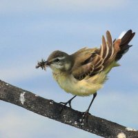 Верь в удачу :: Владилен Панченко