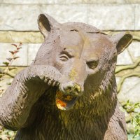 ПОТАПЫЧ_ОБЛЕЗЛЫЙ :: Сергей Янович Микк