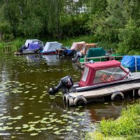 *** :: ирина )))