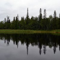 Хмурое утро :: Ольга 