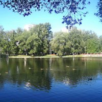 На озере :: Елена Семигина